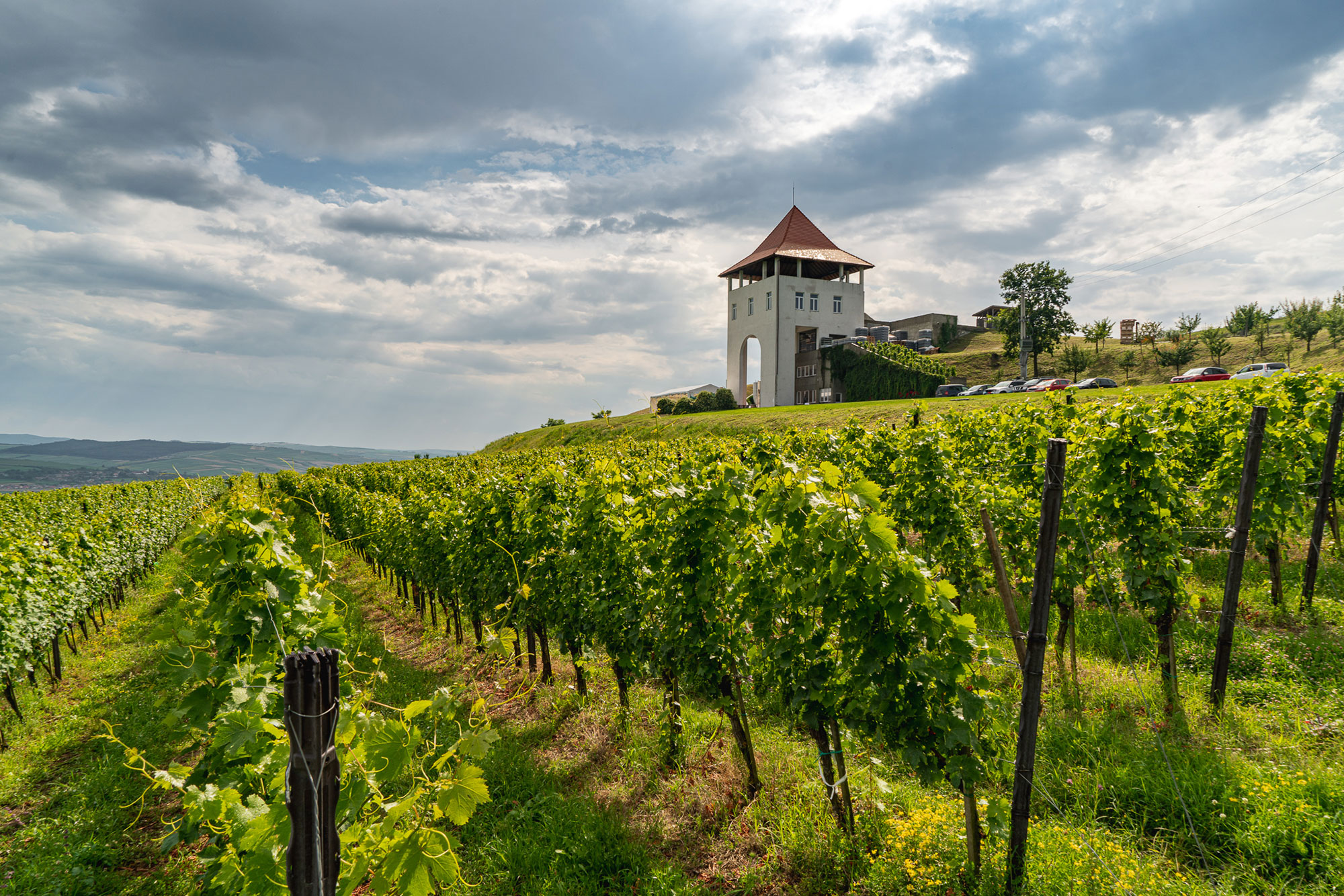 Degustare de vinuri: Crame mici din România (Cluj)