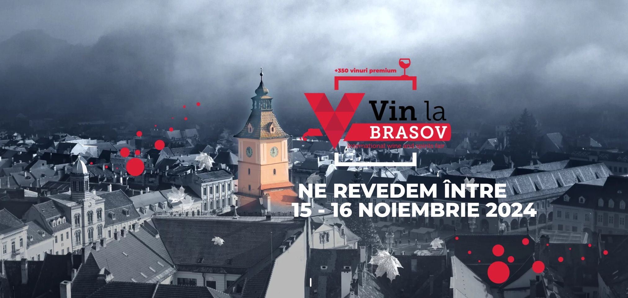 Vin la Brasov - editia IX (Brasov)