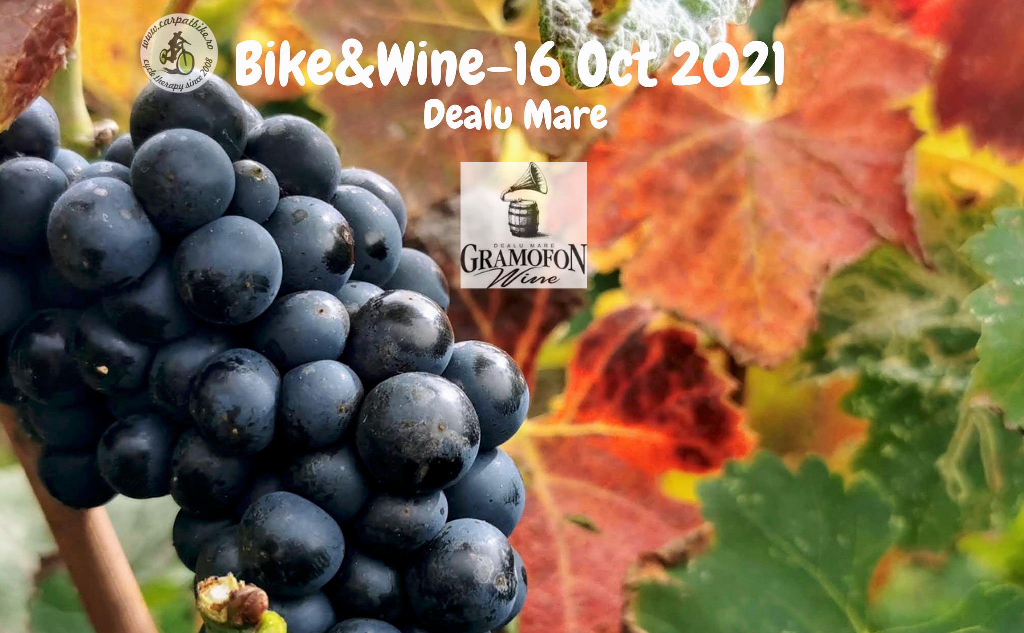 Bike&Wine - Gramofon Wine! (Dealu Mare)