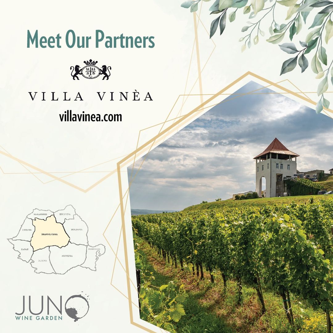 Villa Vinea la Juno Wine Garden (Brașov)
