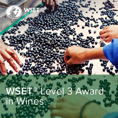 Curs de degustare a vinurilor WSET Level 3 - București