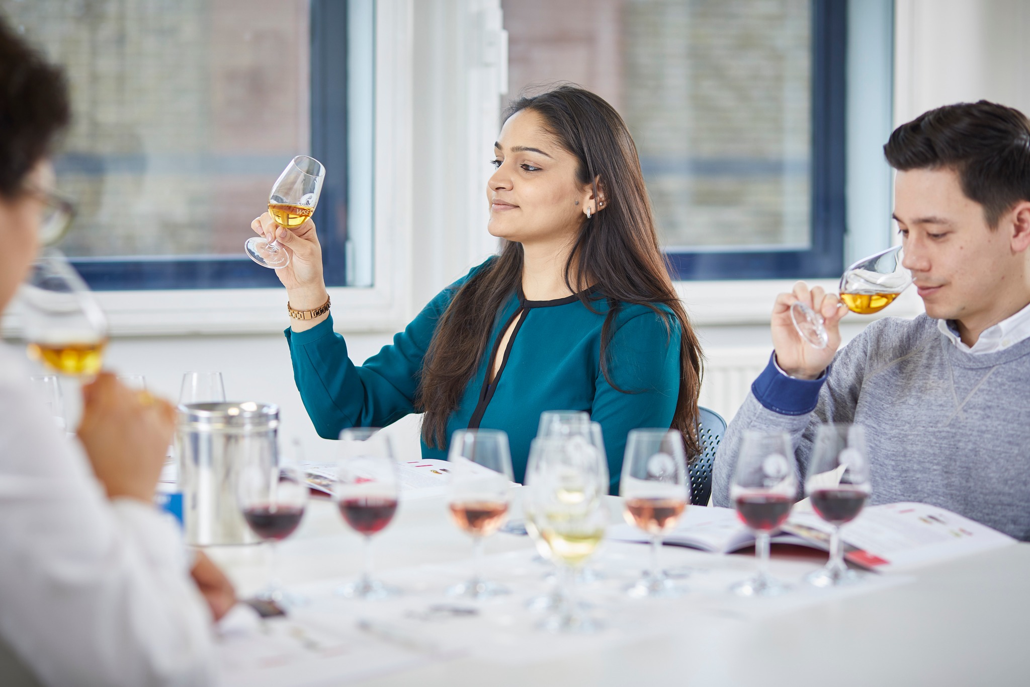 Curs de apreciere a vinurilor (Bucuresti)