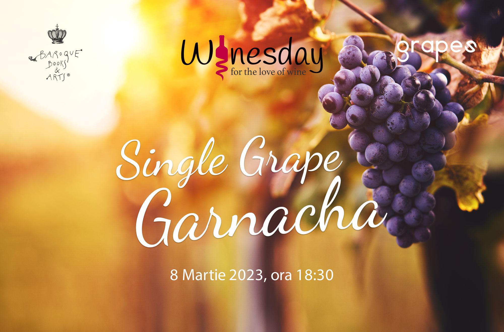 Single Grape: Garnacha (București)