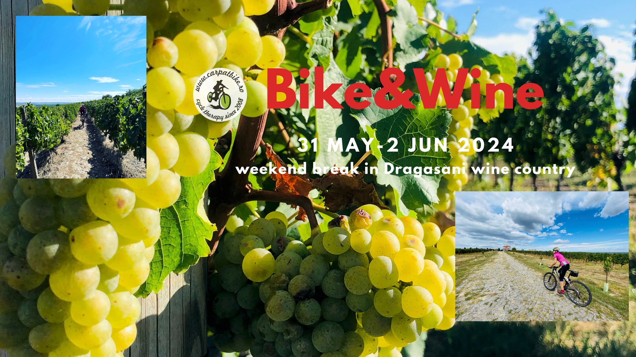 Bike & Wine weekend in Dragasani wine country (Dragasani)
