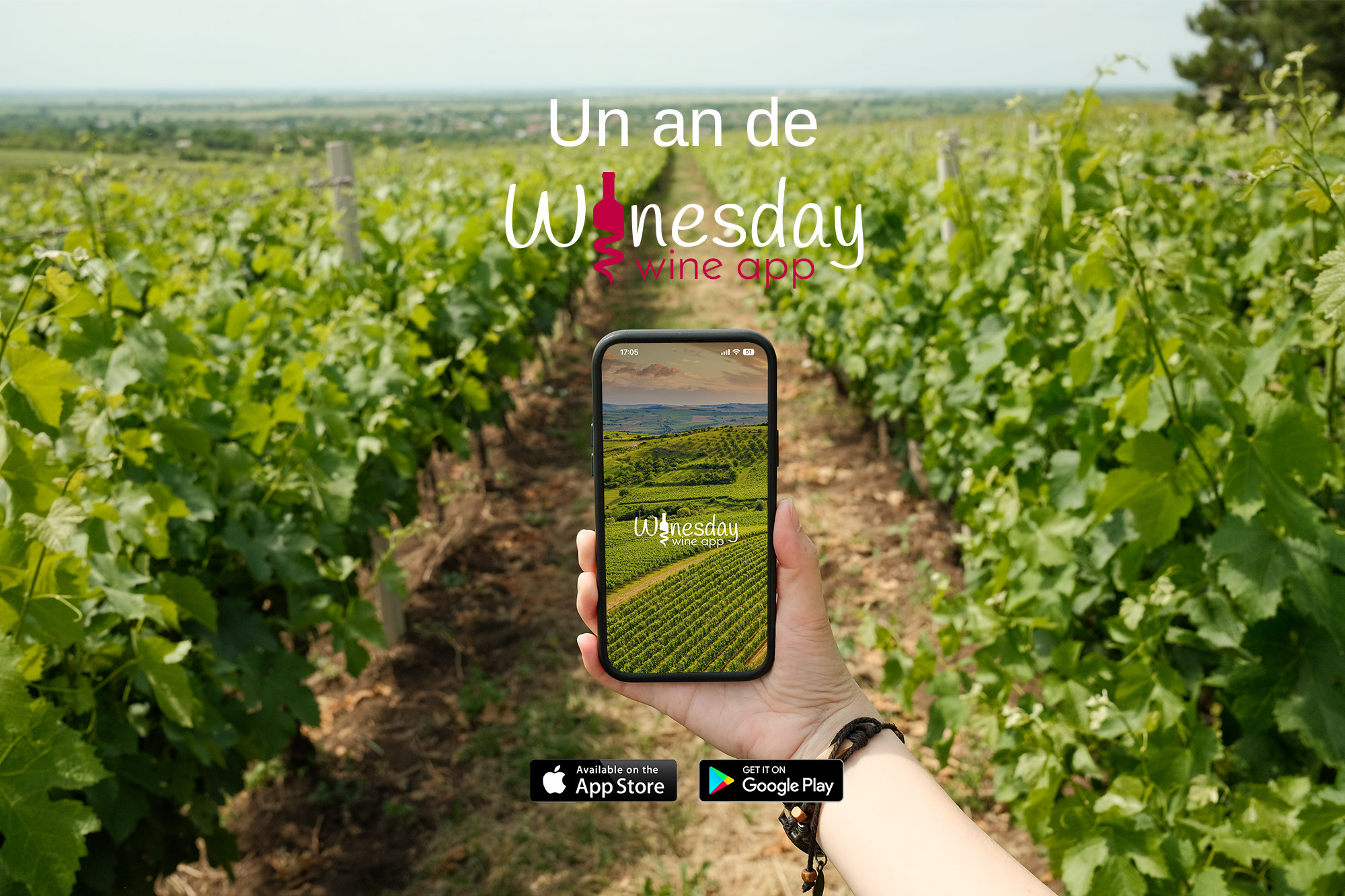 Winesday App – 1 year anniversary