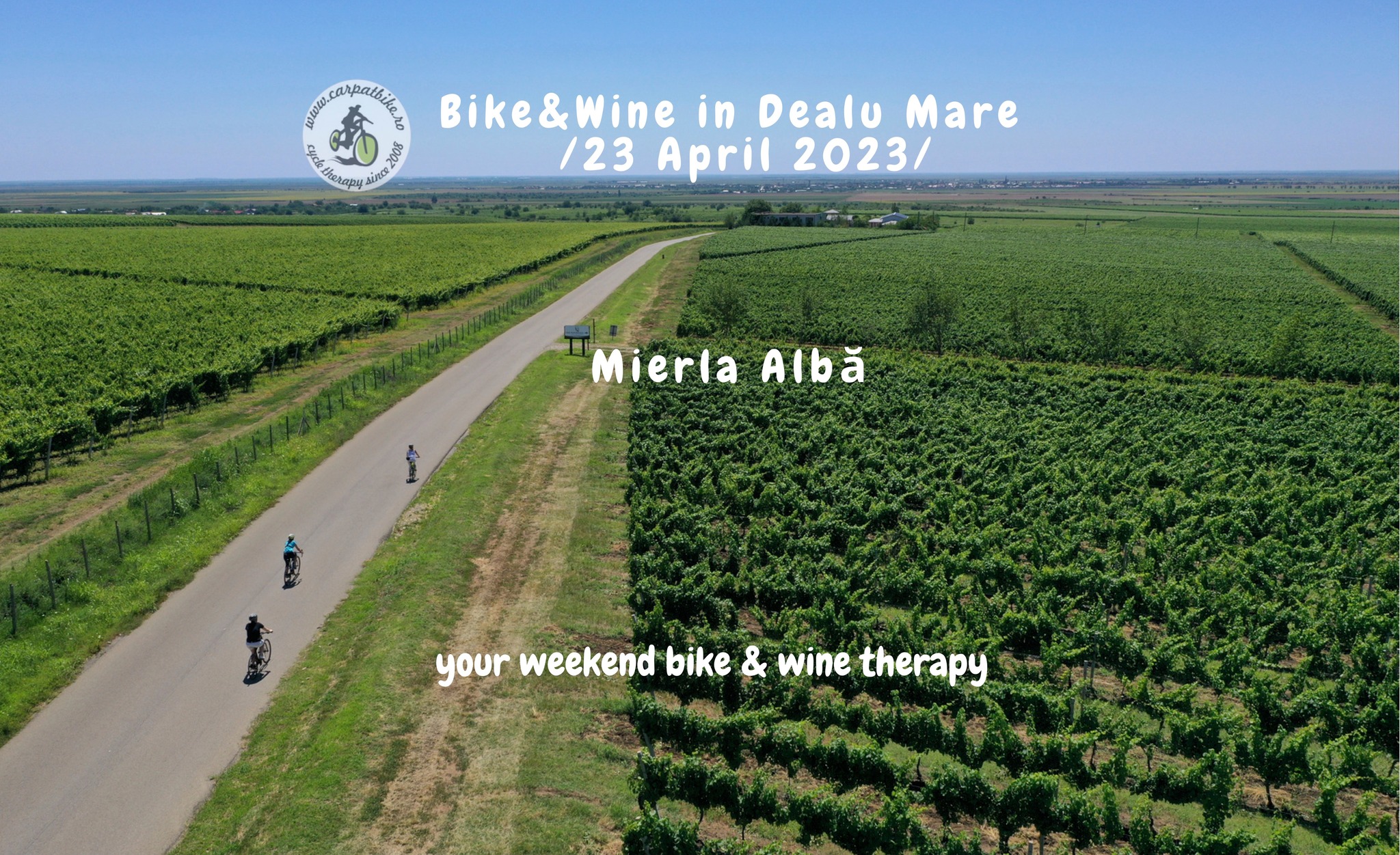 Bike&Wine - Crama Mierla Alba (Dealu Mare)