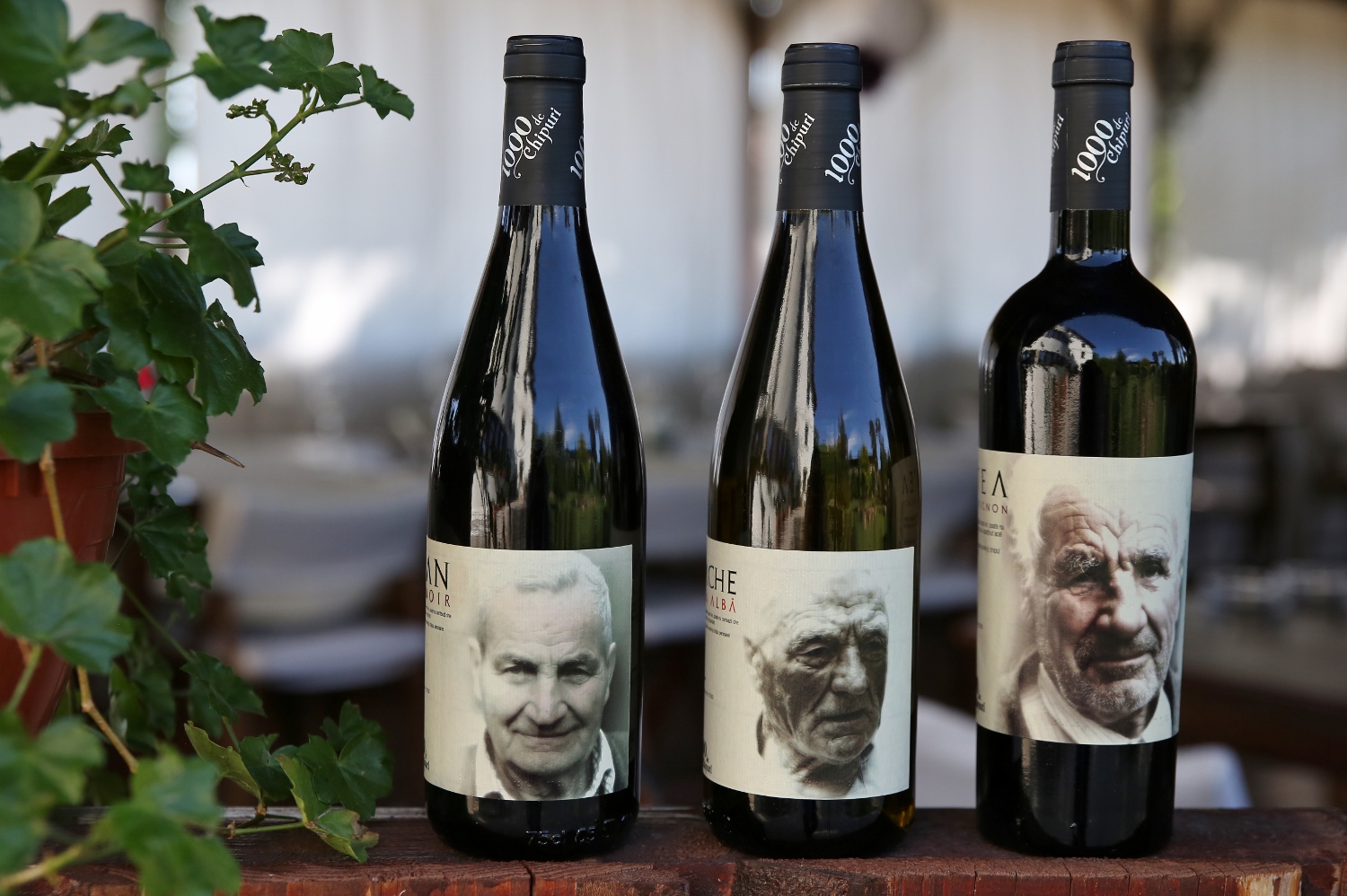 Arta & vin - degustare intensiva de 8 vinuri la Crama 1000 de Chipuri si vizita la Conacul Bellu